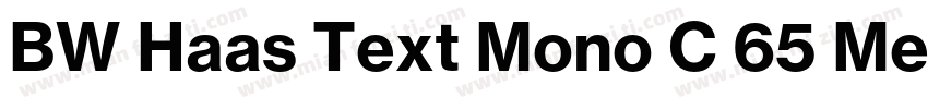 BW Haas Text Mono C 65 Medium字体转换